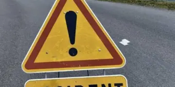 Man killed in auto-car collision in Sgr