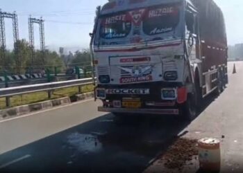 Traffic cop dies after hit by truck