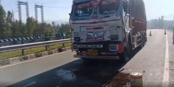 Traffic cop dies after hit by truck