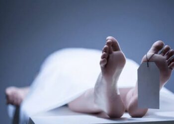 Woman dies after e-rickshaw, load carrier collide in Kathua