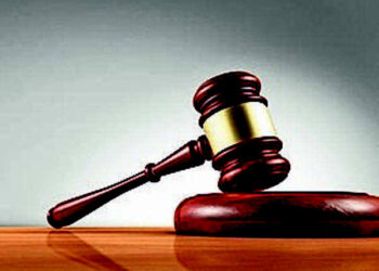 HC flags Registry lapses in case records