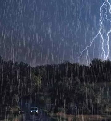 Rain, thundershowers at scattered places for 3 days: MeT