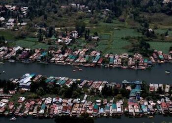 Dal Lake loses its native fish diversity, species count falls from 14 to 8: Survey 