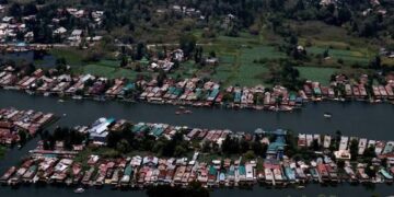 Dal Lake loses its native fish diversity, species count falls from 14 to 8: Survey 