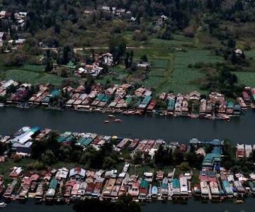 Dal Lake loses its native fish diversity, species count falls from 14 to 8: Survey