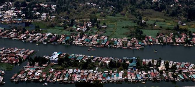 Dal Lake loses its native fish diversity, species count falls from 14 to 8: Survey