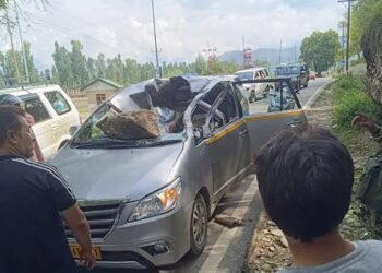 Man killed as boulder crushes tourist vehicle in Anantnag