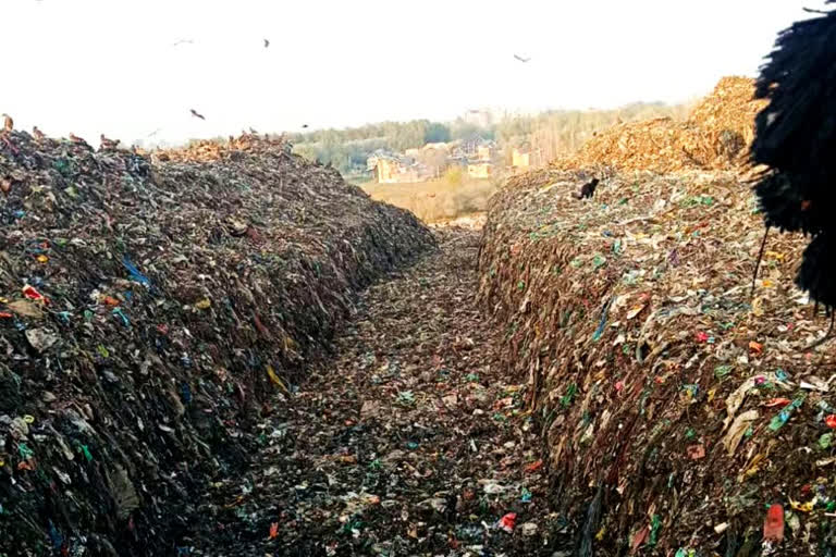 Achan cleanup begins as Srinagar tackles waste-processing challenge: H&UDD Secy