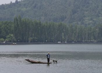 Rain, thundershowers likely in J&K: MeT