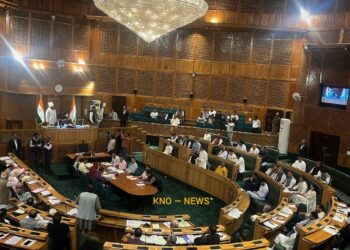 Sopore tops North Kashmir SDHs with 40K-plus monthly visits: Govt tells House