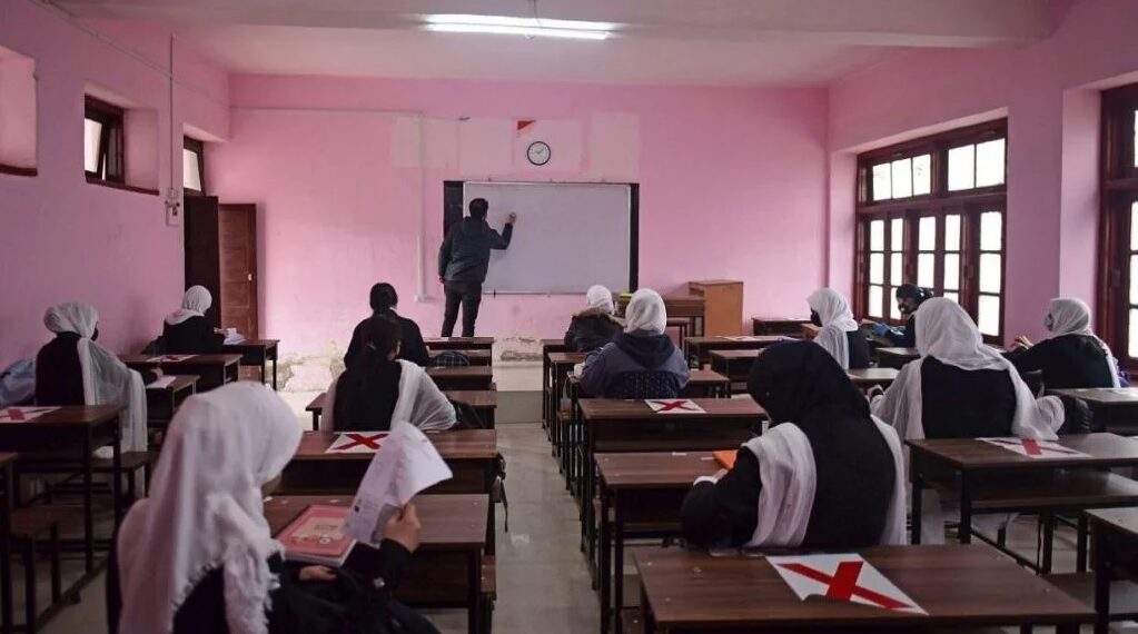 ‘School dropout rate decreases at primary, upper primary levels’