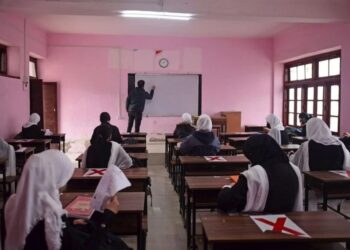 ‘School dropout rate decreases at primary, upper primary levels’