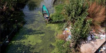 Workers and civic labourers have periodically cleaned Baba Demb, a historic freshwater lagoon in central Srinagar.