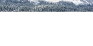 Fresh snowfall in higher reaches
