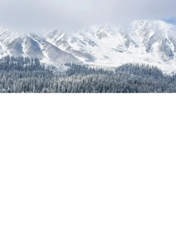 Fresh snowfall in higher reaches