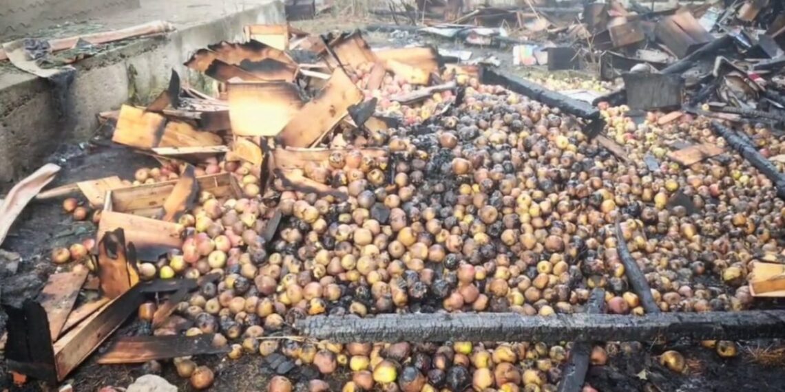 Apple stock goes up in flames in Sopore