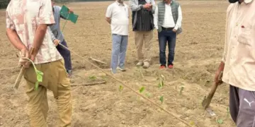 Director Agriculture Kashmir kickstarts Rabi Seedling Transplantation