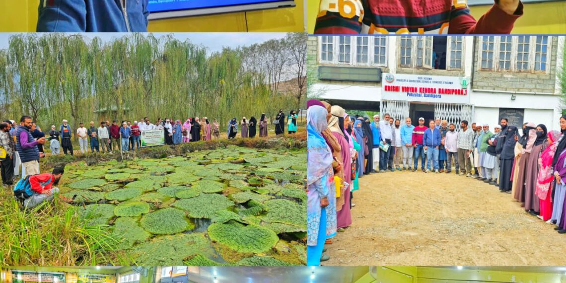Makhana Development : KVK Bandipora-1 organises 2nd training programme in Kashmir