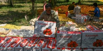 === Two decades of delay ===  Centre seeks Rs 4.16 cr refund from J&K govt over failed apple pack-house project