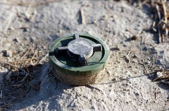 Mine recovered, destroyed near fence in Mendhar