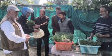 Agriculture Dept Kashmir commences first phase of onion seedling sale
