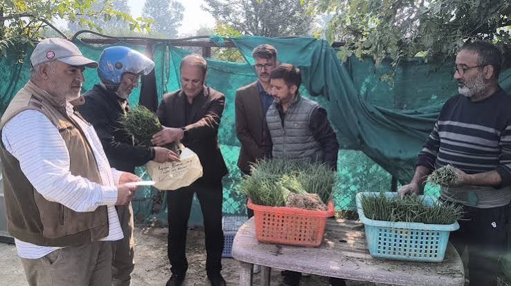 Agriculture Dept Kashmir commences first phase of onion seedling sale