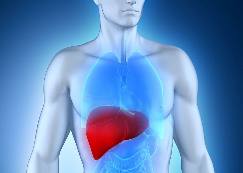Fatty liver ‘epidemic’ may trigger rise in transplant demand: GMC expert