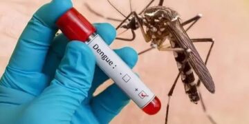 1,200 dengue cases in J&K this year, decline from previous years