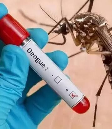 1,200 dengue cases in J&K this year, decline from previous years