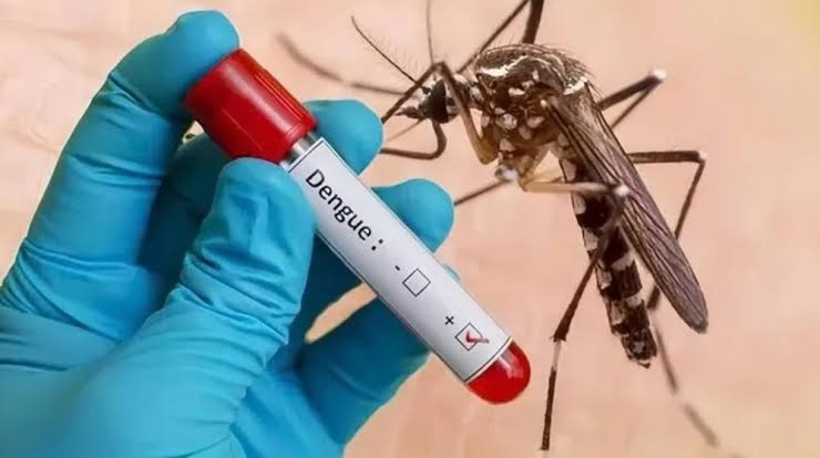 1,200 dengue cases in J&K this year, decline from previous years