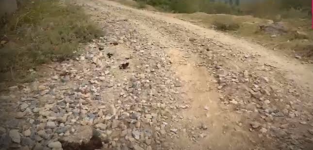 Tral–Wahab Sahab road project incomplete for 12 years