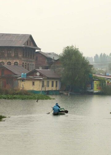 Snowfall in higher reaches, rains in plains, temps down