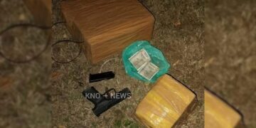 2 OGWs held with Turkish pistol, IEDs