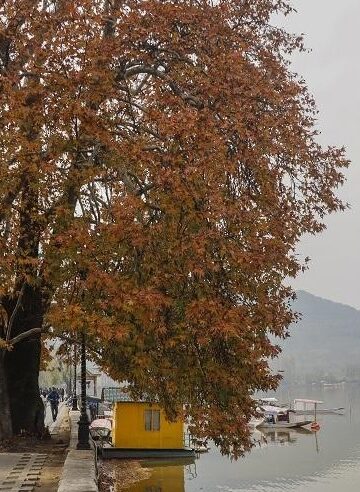 J&K to witness ‘largely dry’ weather till Nov 6