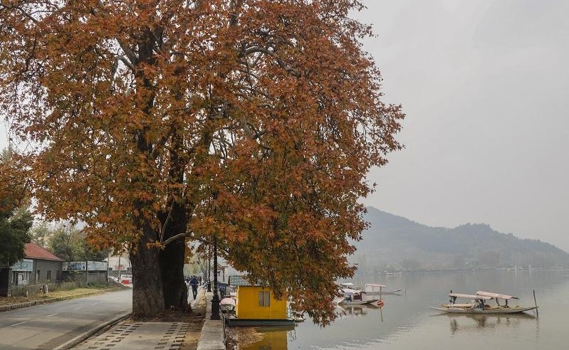 J&K to witness ‘largely dry’ weather till Nov 6